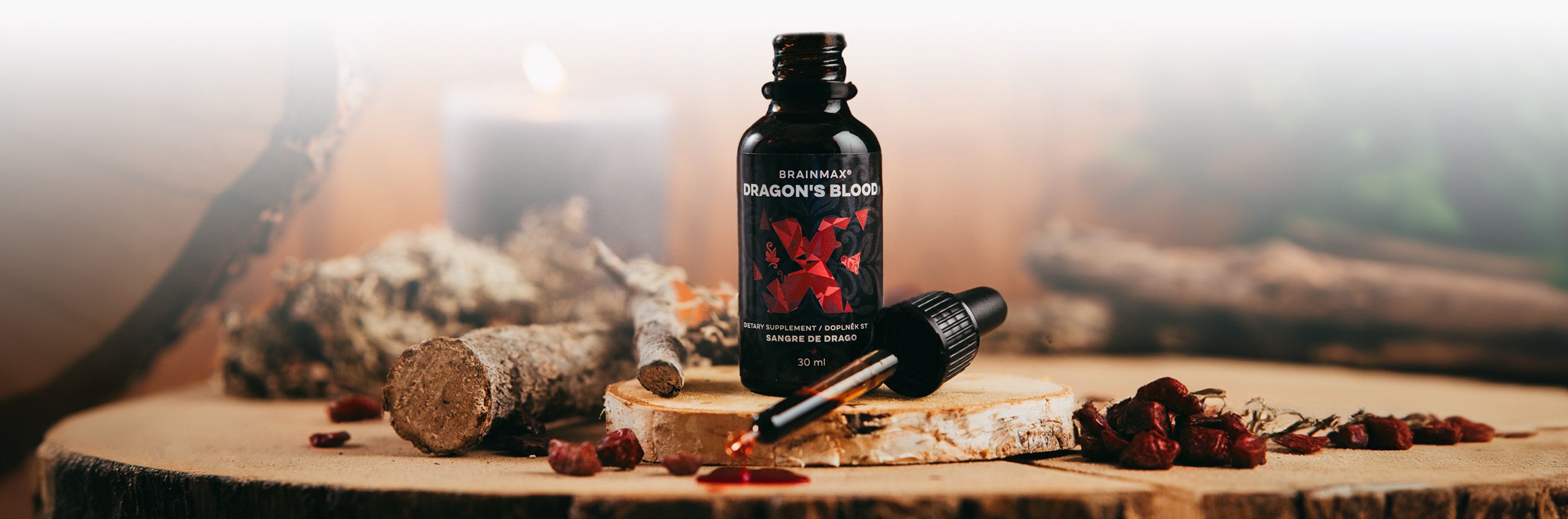 dragon8